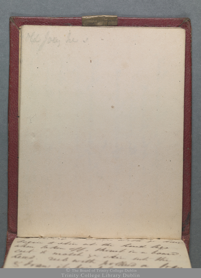 Inscriptions manuscrites à l’encre noire consignées sur du papier brun dans le journal personnel.