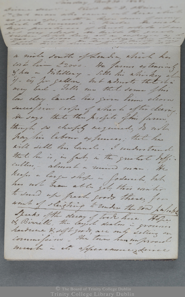 Notes manuscrites du journal personnel rédigées à l’encre brune tournant sur le rouge, sur une page de couleur grise.