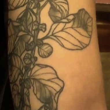 Close up of tattoo in dark blue ink of potato plant with leaves and stem on man’s bicep.