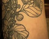 Close up of tattoo in dark blue ink of potato plant with leaves and stem on man’s bicep.