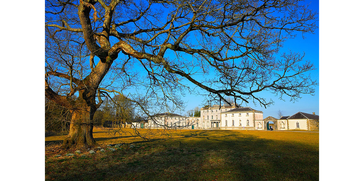 Large three storey house with two wings viewed diagonally from distance, against backdrop of cloudless blue sky, with green grass and a large tree with many branches in foreground.