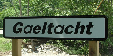 Le mot Gaeltacht est inscrit en noir sur une enseigne routière rectangulaire, de couleur blanche et érigée sur deux poteaux de bois. La forêt est aperçue à l’arrière-plan.